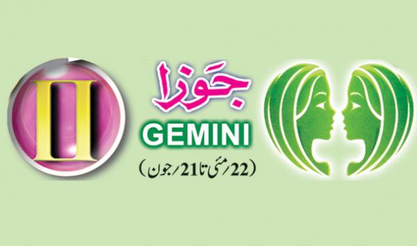 Gemini 2017
