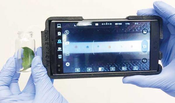 Smart Device For Diagnosing Diseases In Plants