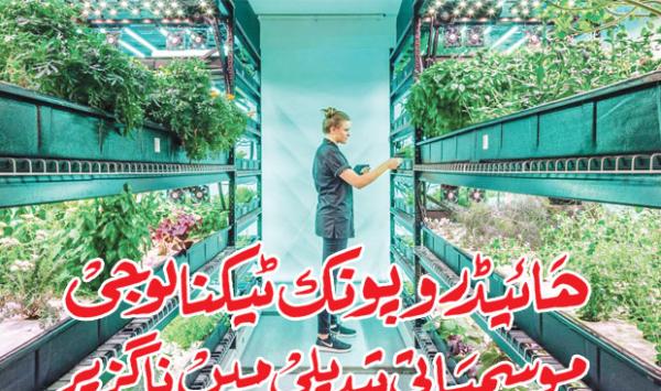 Hydroponic Technology Indispensable In Climate Change