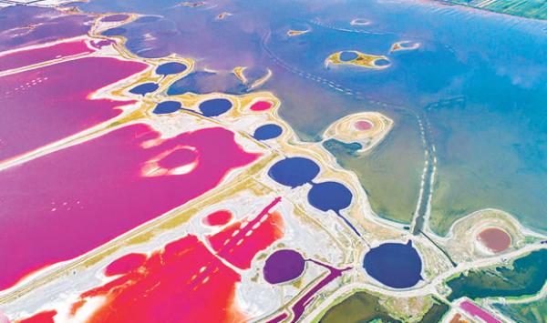 Colorful Charming Lake