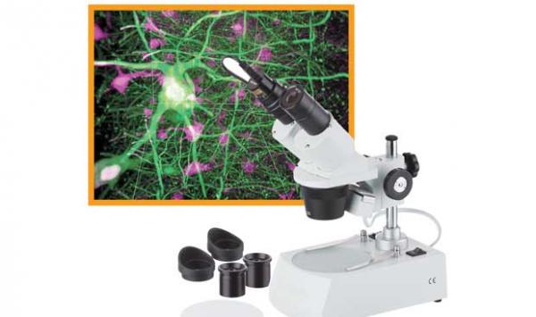 The Fastest 3d Microscope