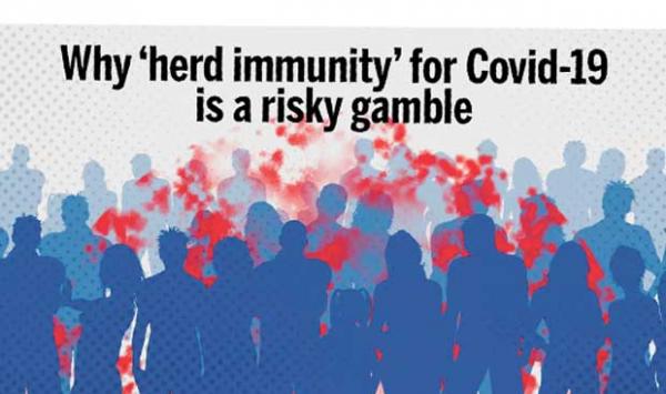 It Would Be Unethical To Follow Herd Immunity The World Health Organization Said