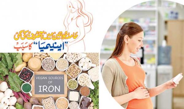 Iron Deficiency In Pregnant Women Causes Anemia