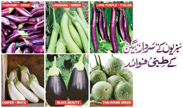 Medicinal Benefits Of Vegetable Chief Eggplant