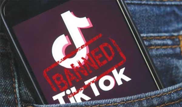 Pta Removed 500000 Videos From Tiktak