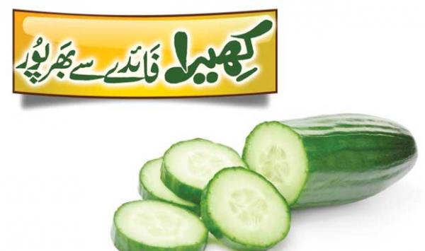 Cucumber Is Full Of Benefits