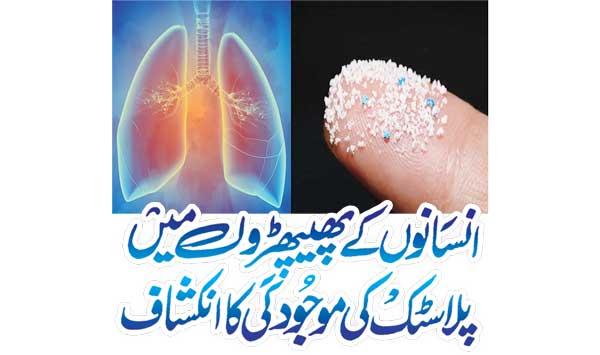 Discovery Of Plastic In Human Lungs