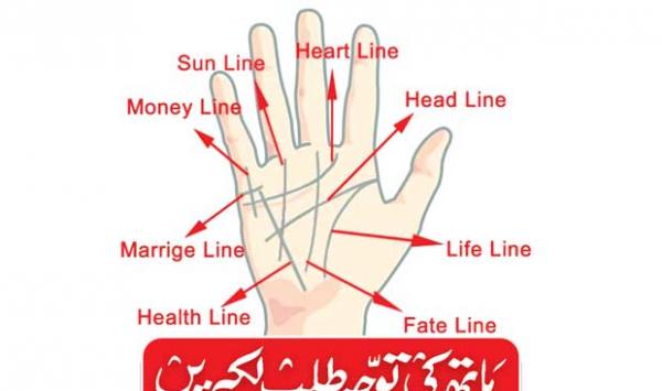 Hand Drawing Lines