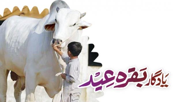 Memorable Baqarah Eid