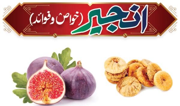 Fig Properties And Benefits