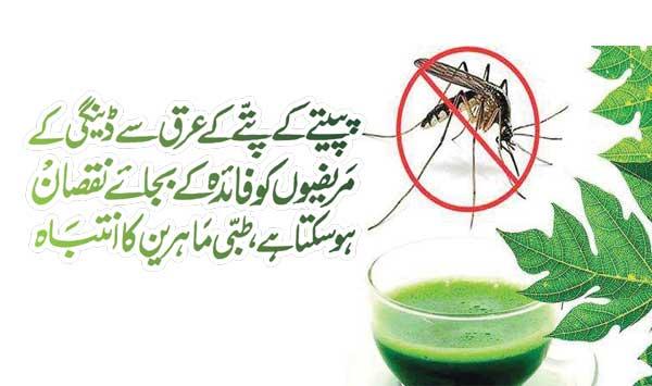 Papaya Leaf Extract May Do More Harm Than Good To Dengue Patients