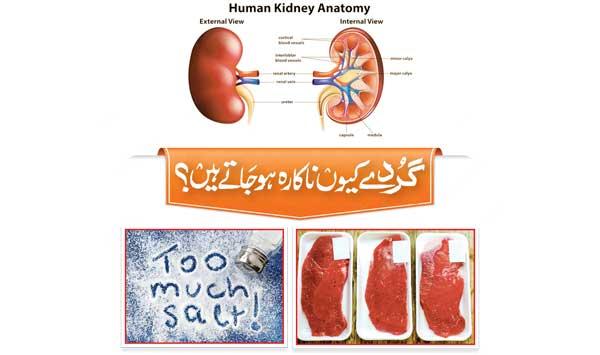 Why Do Kidneys Fail