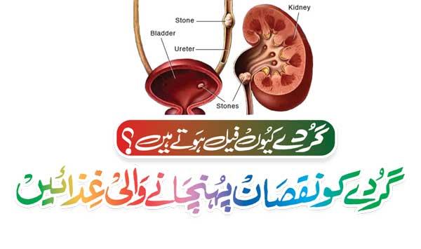 Kidney Damage Foods