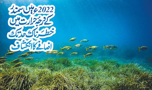 In 2022 An Alarming Rise In Sea Temperature Has Been Revealed