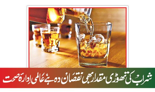 Even Small Amounts Of Alcohol Are Harmful According To The World Health Organization