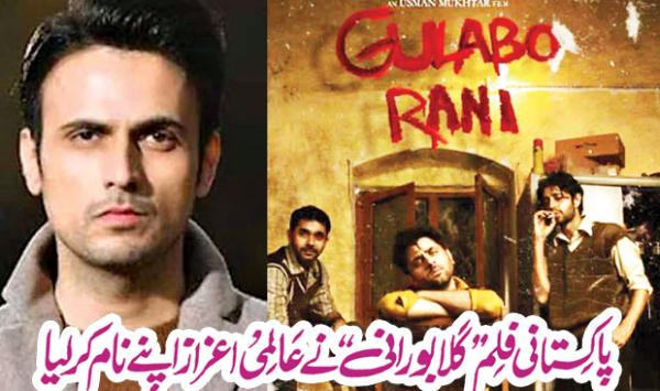 The Pakistani Film Galabo Rani Won The International Award