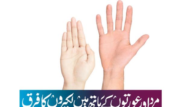 The Difference Between The Lines In The Hands Of Men And Women