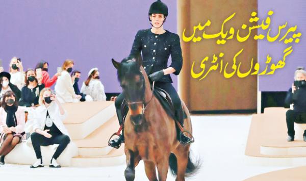 Horses Enter Paris Fashion Week