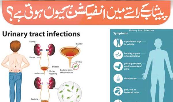 Why Do Urinary Tract Infections Occur