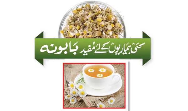 Chamomile Is Useful For Many Diseases