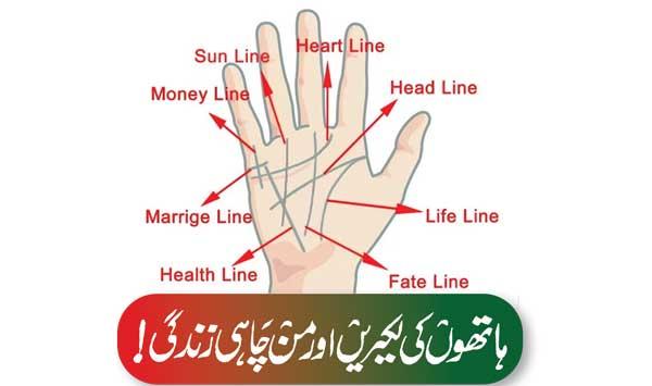 Lines Of Hands And Desired Life