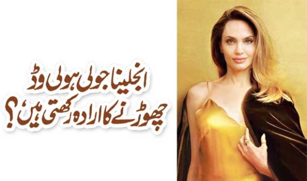 Angelina Jolie Plans To Quit Hollywood