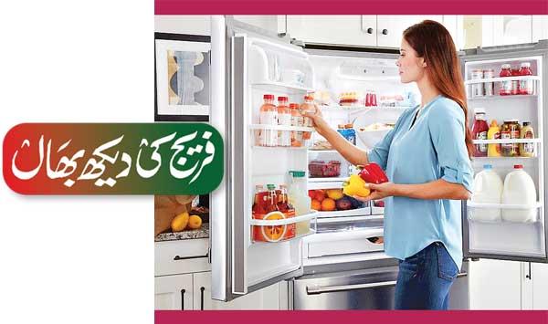 Refrigerator Maintenance