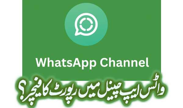Report Feature In Whatsapp Channel