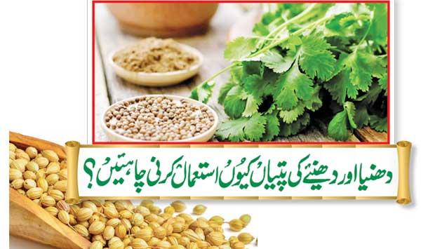 Why Should Coriander And Coriander Leaves Be Used