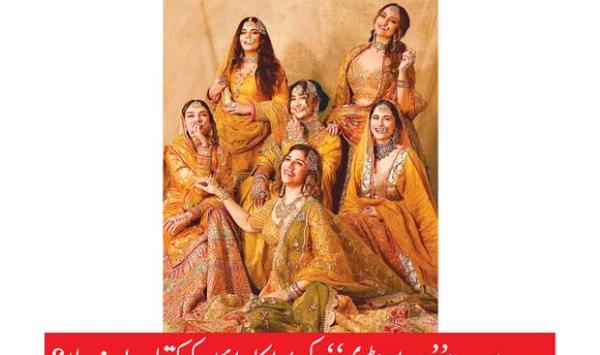 How Much Did The Actresses Of The Web Series Hiramundi Get Paid