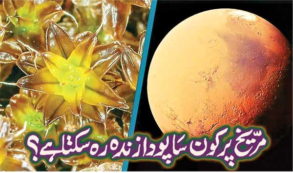What Plants Can Live On Mars