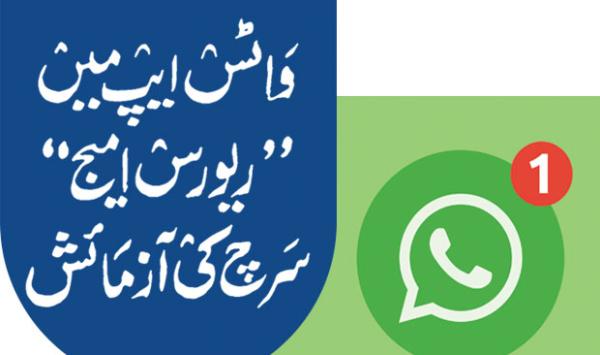 Testing Reverse Image Search In Whatsapp