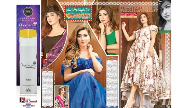 A Shining Star Of The Art World Areej Chaudhry
