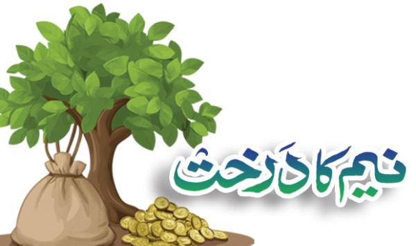 Neem Tree