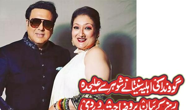 Govindas Wife Sunita Clarifies Her Statement About Being Separated From Her Husband
