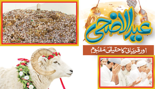 The True Meaning Of Eid Ul Adha And Sacrifice