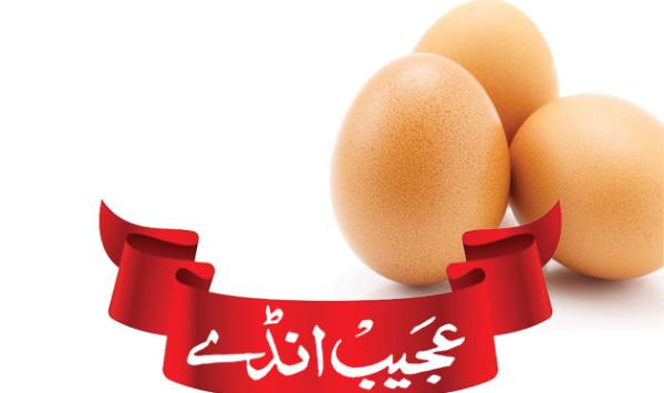 Strange Eggs