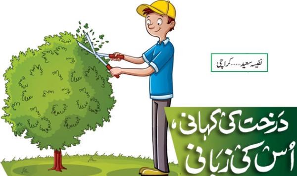 The Story Of The Tree In Its Own Words