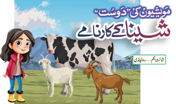 The Exploits Of Sheena The Friend Of Cattle