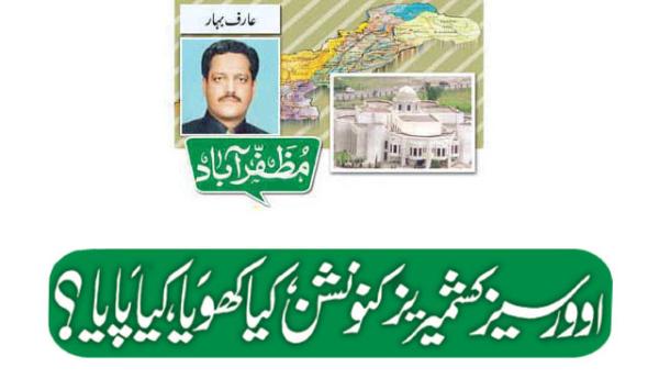 Overseas Kashmiris Convention What Was Lost What Was Gained