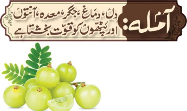 Amla Strengthens The Heart Brain Liver Stomach Intestines And Muscles