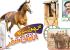 The Evolutionary Journey Of The Horse