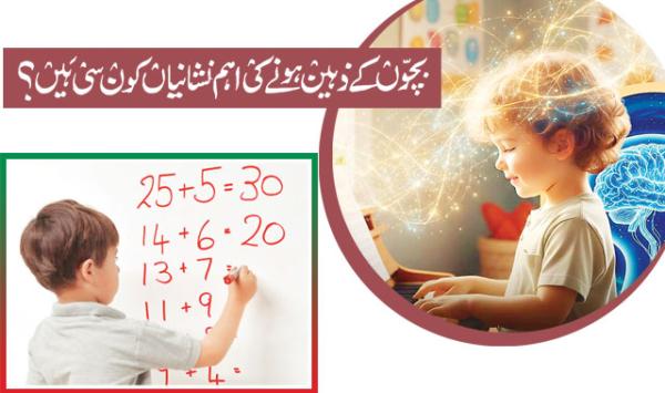 What Are The Main Signs That Children Are Intelligent