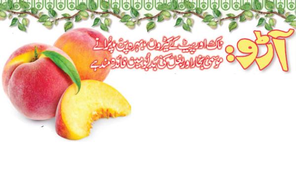 Peach Beneficial In Nose And Stomach Worms Deafness Seasonal Fever And Armpit Odor