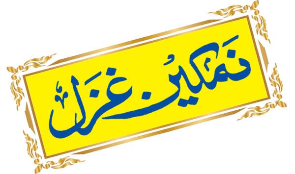 Salty Ghazal