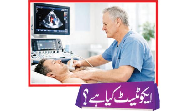 What Is An Echo Test