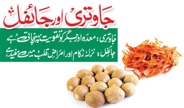 Mace And Nutmeg