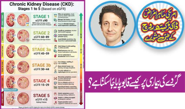 Medical Advice From American Nephrologist Dr Keith Rogge How Can Kidney Disease Be Controlled