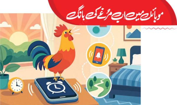 Rooster Crowing Now On Mobile