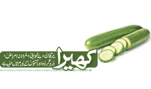 Cucumber Is Beneficial For Jaundice Insomnia Male Sexual Disorders Kidney Pain And Intestinal Inflammation